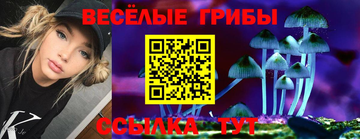 что такое наркотик  Галлюциногенные грибы мицелий  Вход с VPN  Татарск 